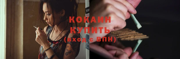 apvp Белокуриха