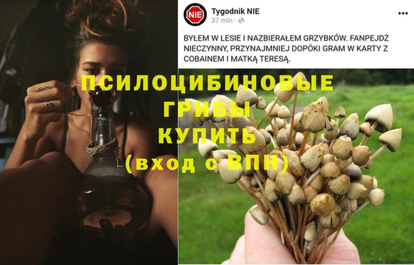 дживик Белоозёрский