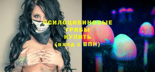 дживик Белоозёрский