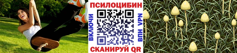 магазин продажи   Бугульма  Галлюциногенные грибы GOLDEN TEACHER 